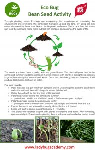 EcoBUG childcare incursion resources planting seeds