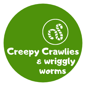 Logo Wriggly Worms and Creepy Crawlies Childcare Insect Incursion